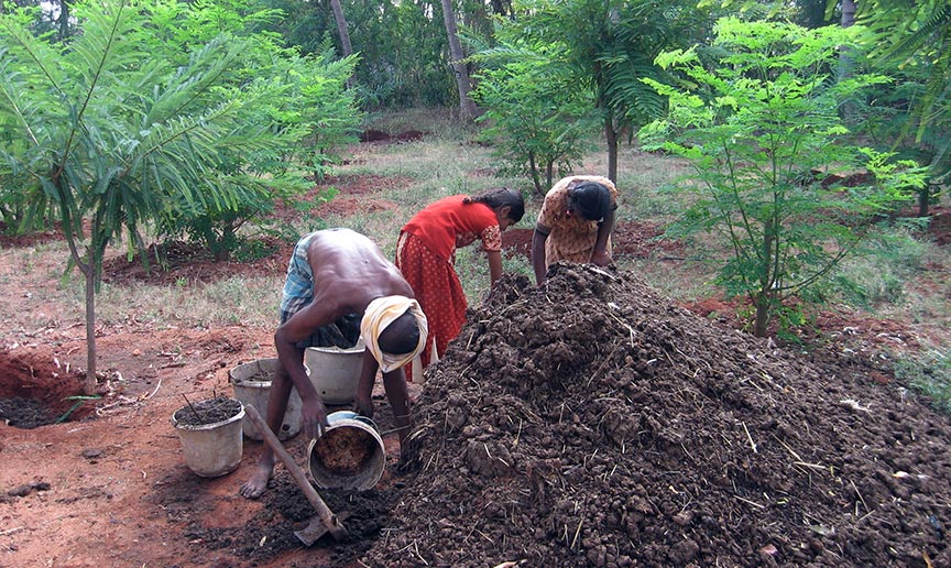 Photo of Land belongs to Parasparam Trust